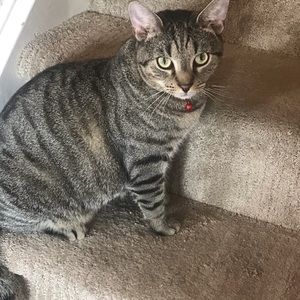 Meet your Posher, Lilian